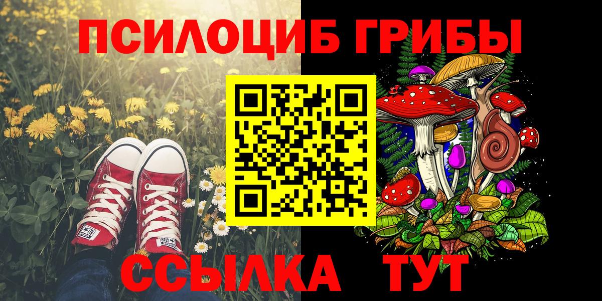 Псилоцибиновые грибы мухоморы Шахты