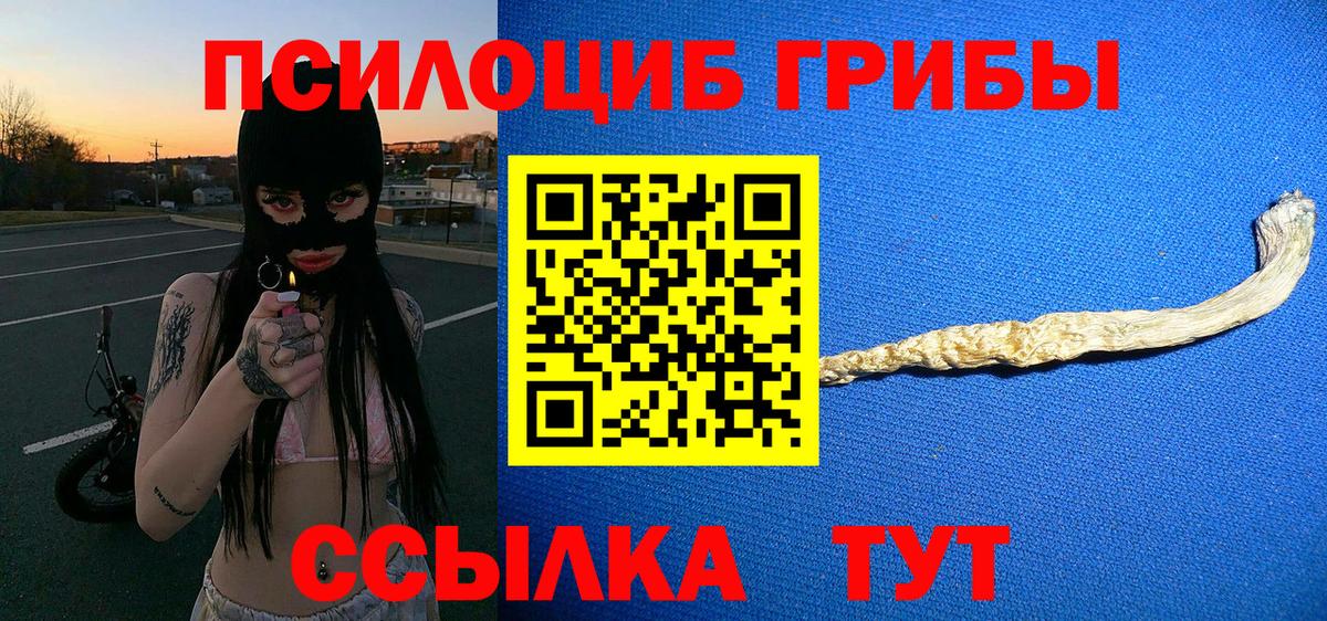 Псилоцибиновые грибы Magic Shrooms  Вход с VPN  Шахты  Галлюциногенные грибы Magic Shrooms 