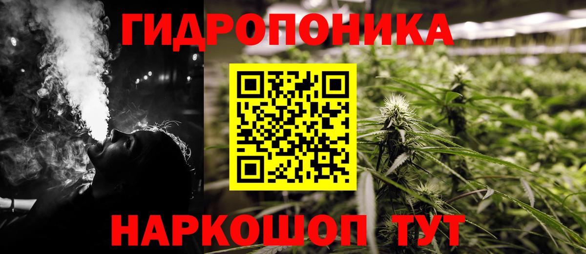Конопля Amnesia  Канабис сатива  Вход с VPN  Шахты 